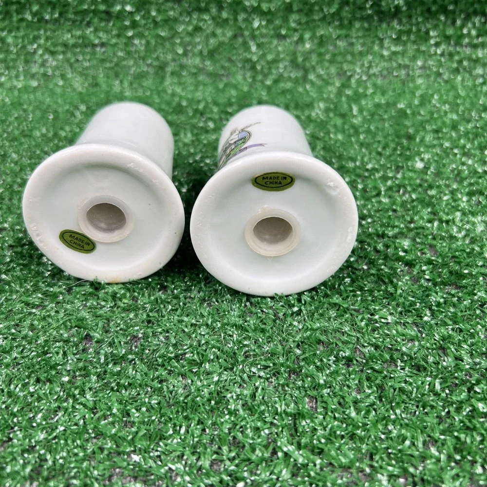 Vintage‎ Arkansas Ceramic Salt & Pepper Shakers White With Art